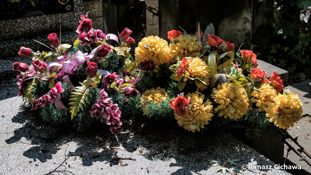 "Les Fleurs de l'été", série de photos de Tomasz Cichawa