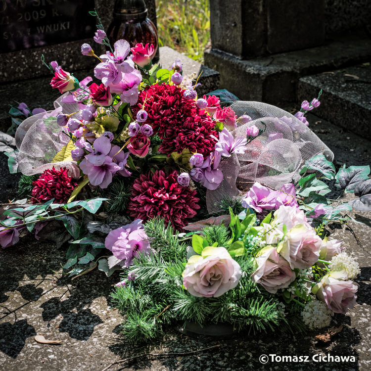 "Les Fleurs de l'été", série de photos de Tomasz Cichawa