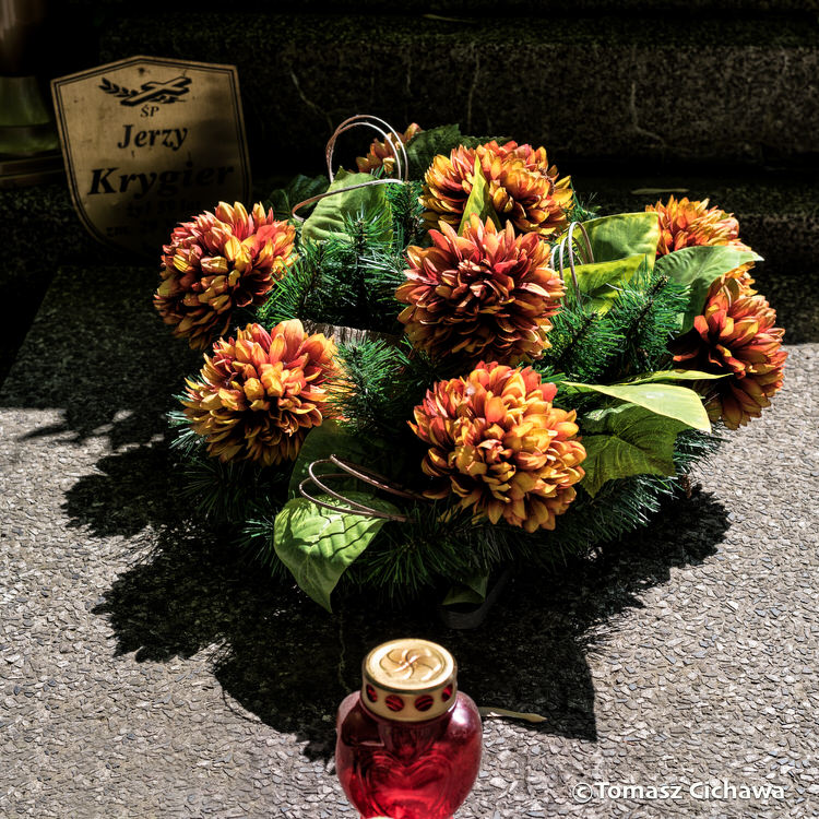 "Les Fleurs de l'été", série de photos de Tomasz Cichawa