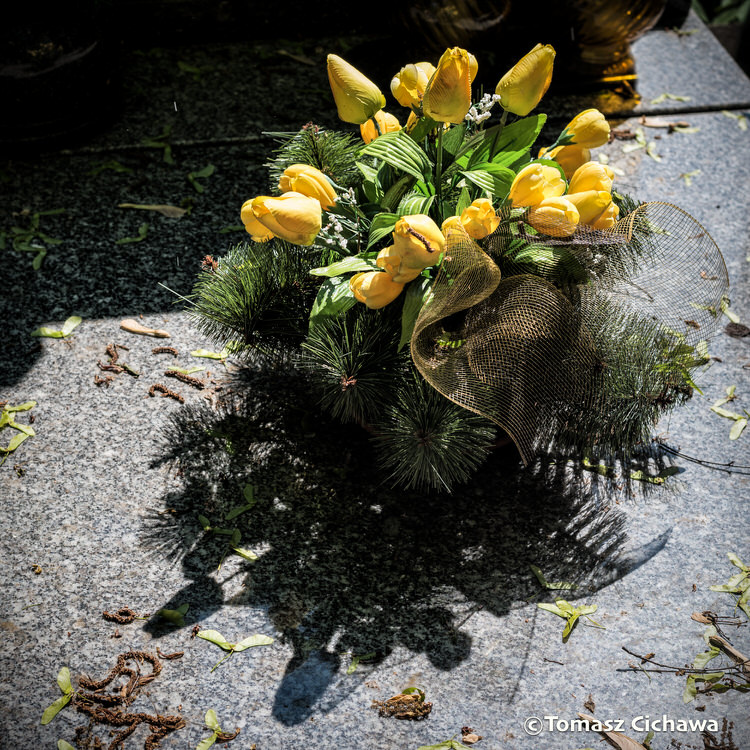 "Les Fleurs de l'été", série de photos de Tomasz Cichawa