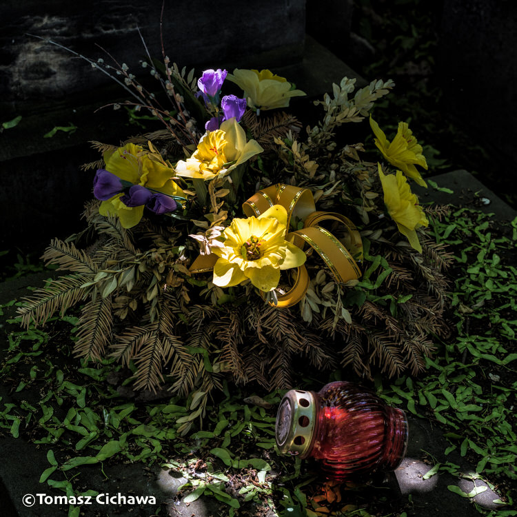 "Les Fleurs de l'été", série de photos de Tomasz Cichawa