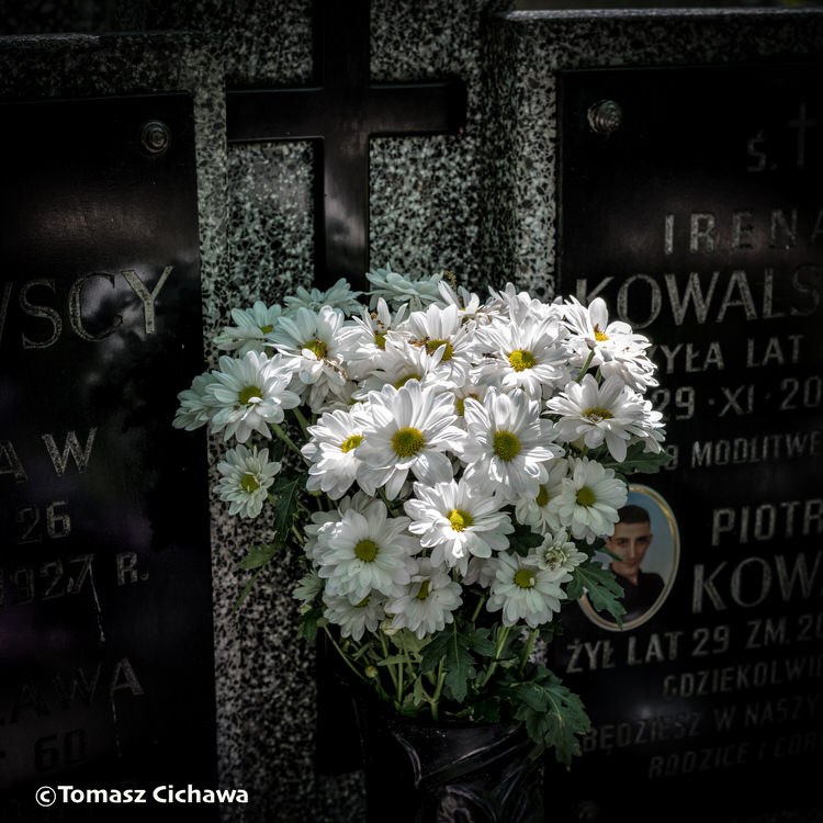 "Les Fleurs de l'été", série de photos de Tomasz Cichawa