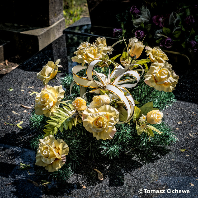 "Les Fleurs de l'été", série de photos de Tomasz Cichawa