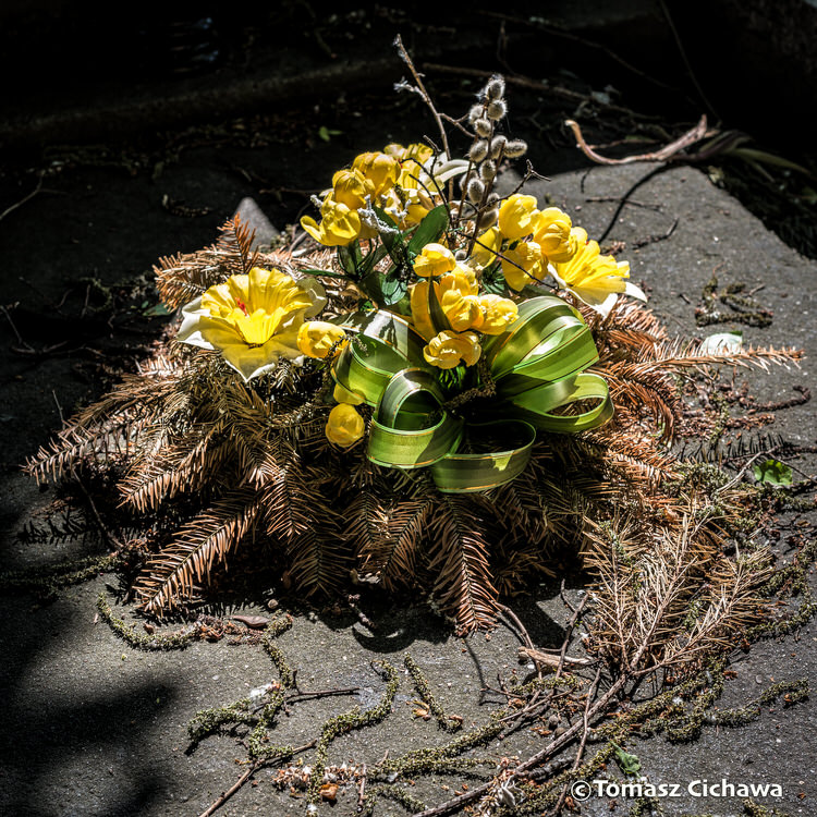"Les Fleurs de l'été", série de photos de Tomasz Cichawa